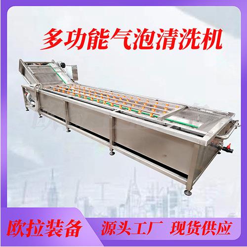 海鲜肉类清洗设备 净菜加工流水线 葡萄干去泥沙清洗烘干机