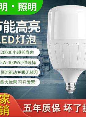 亚明LED灯泡节能灯E27E40螺口家用车间工地厂房大功率高亮度球泡