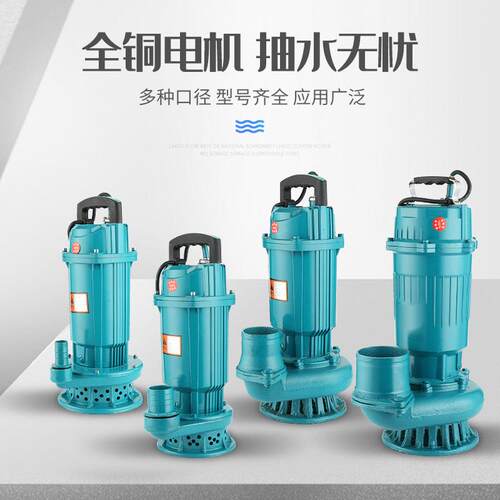 水泵家22潜0V抽水机高扬程泥浆抽水泵小型RZJ排用污清泵农用灌溉
