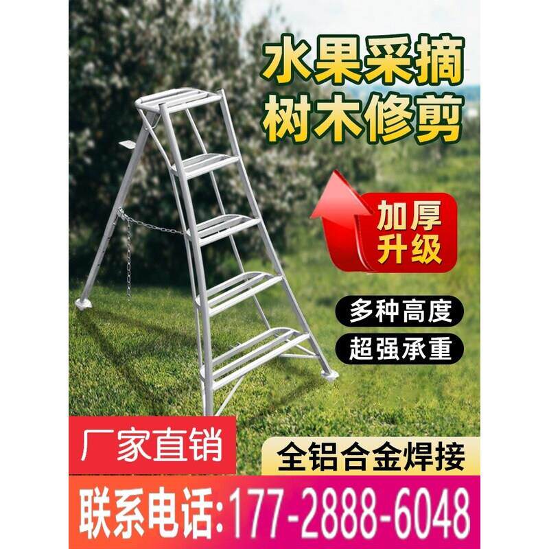 农用焊接铝合金三脚梯果园采摘梯子园林专用三角梯园艺绿化修剪梯