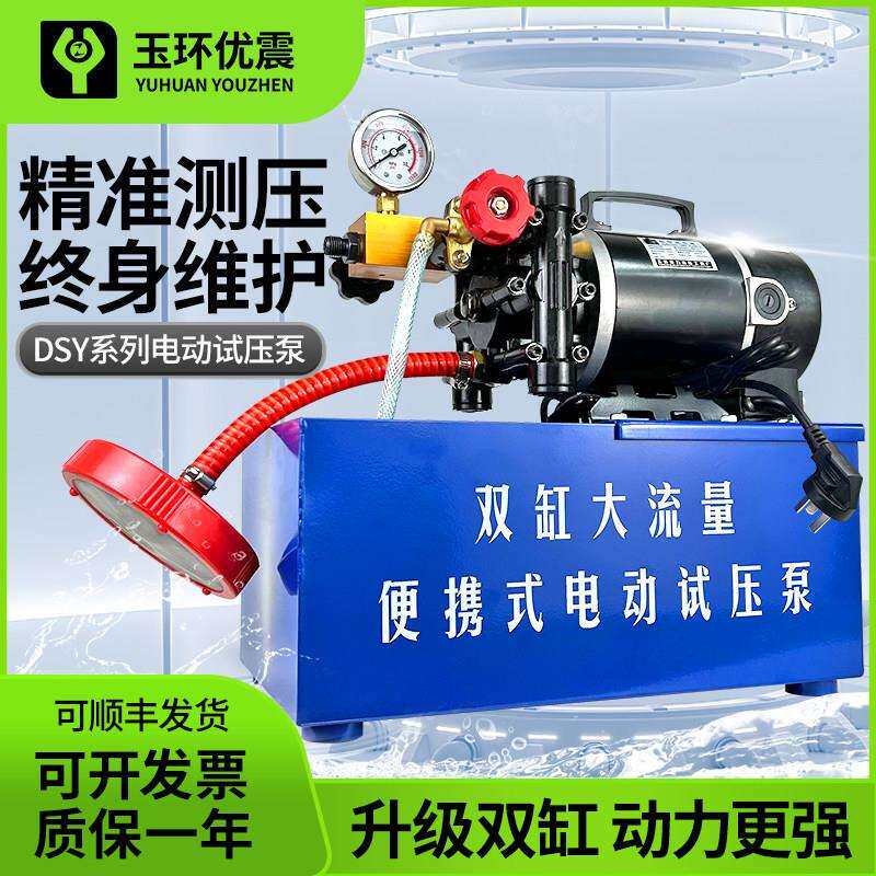 手提式电动试压泵DSY-25/60双缸打压泵纯铜打压机水管道试压机