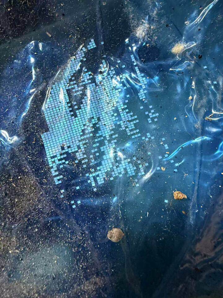 4月14日东莞市半导体废白膜/蓝膜一批重约23.5公斤网络拍卖公告