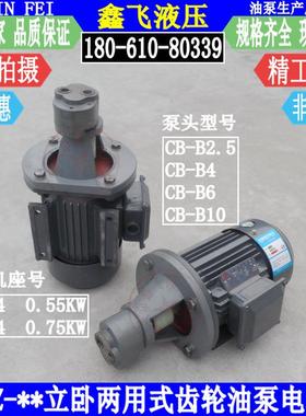 LWBZ-4 LWBZ-6 LWBZ-10 2.5立卧式齿轮油泵电机组YE2801-4 0.55KW