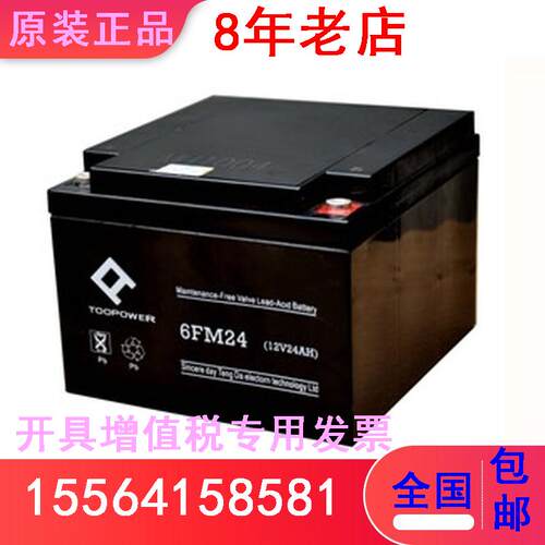 TOOPOWER天力蓄电池6FM24直流屏 光伏发电 计算机不间断12V24AH