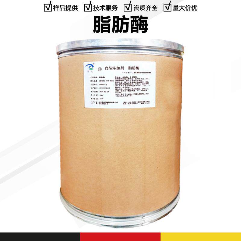 脂肪酶酶制剂脂肪分解酶油脂水解高活性酶制剂原料