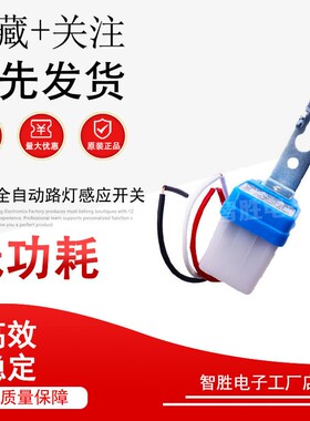 AS-10防水路灯控制器自动路灯光控开关防雨 感应开关220V12V24VAI