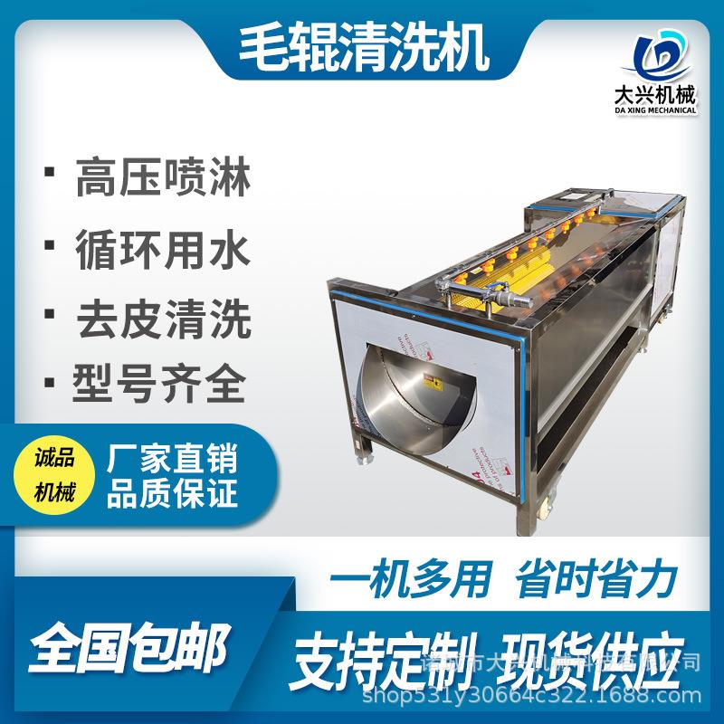 马铃薯去皮去泥清洗机毛辊磨皮清洗机红枣去杂清洗机厂家