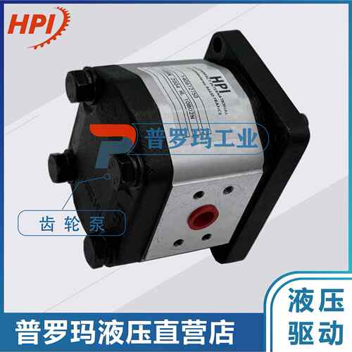 液压泵P1BAN2004HL10B02齿轮泵可做代替