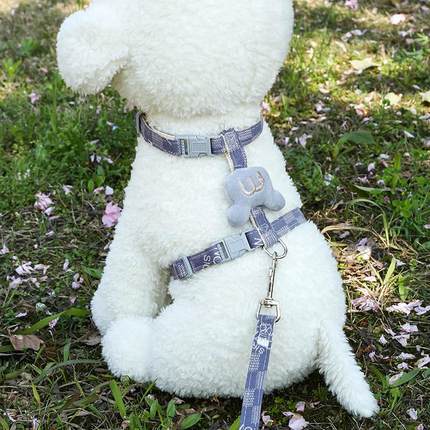 宠物牵引绳胸背带猫咪狗狗中小型犬工字型防挣脱遛猫背心宠物可爱
