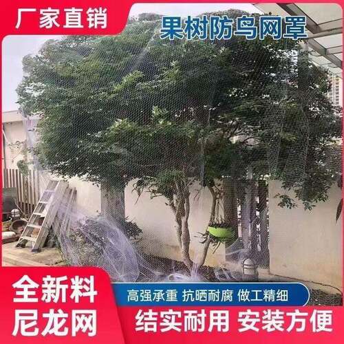 新款果树防鸟罩嘉宝果枇杷樱桃蓝莓果园尼龙防护网农用防鸟网