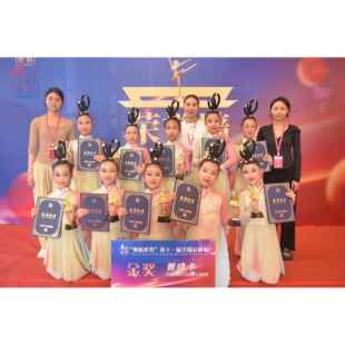 正品灯影江南同舞蹈服儿童古典舞演出服中风族国表演服装灯民笼道