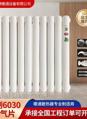 工厂钢制暖气片钢二柱6030片头钢制柱式水暖散热器暖气片壁挂