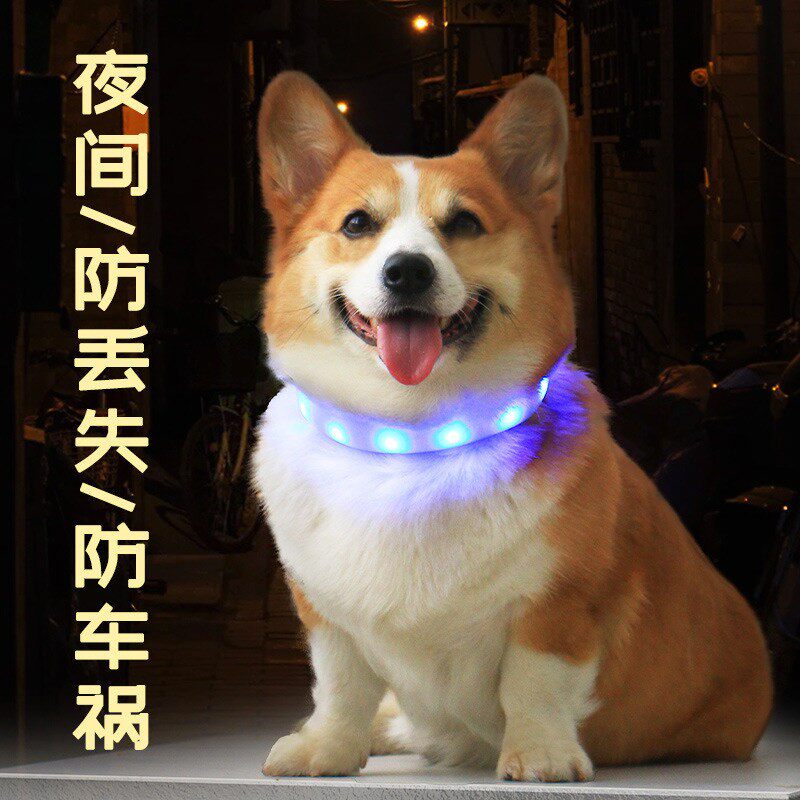 狗狗夜光项圈发光防走失灯夜间遛狗发光器充电散步灯宠物发光项圈