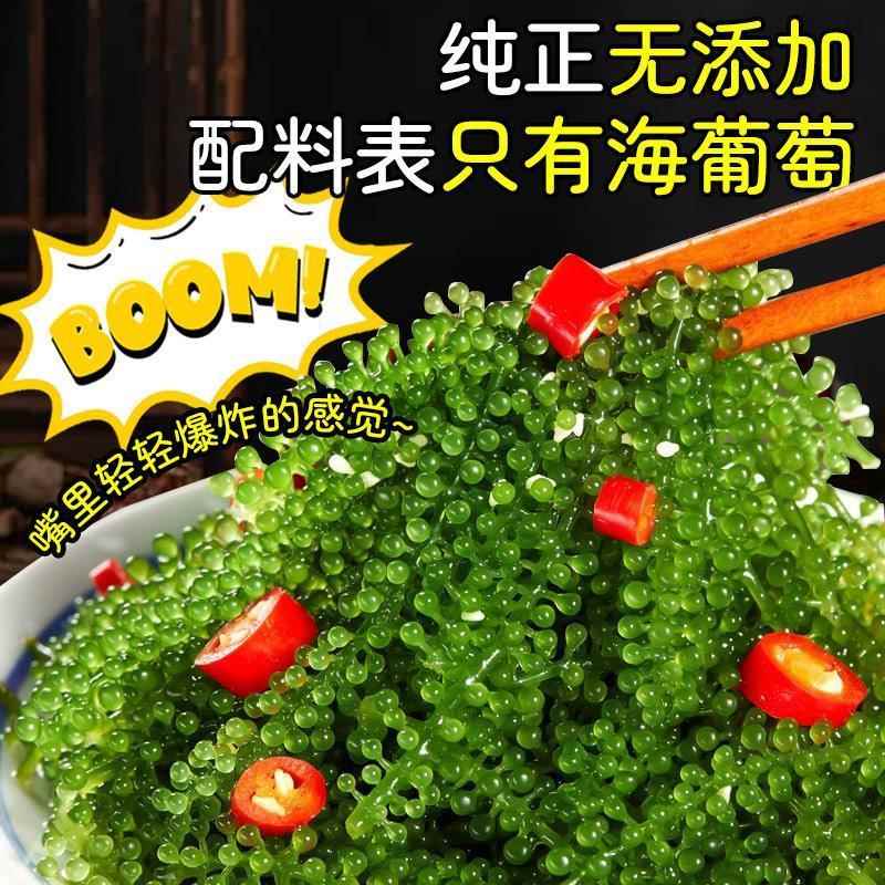 海葡萄新鲜即食盐渍海洋蔬菜植物鱼子酱海藻带菜水葡萄海草100g