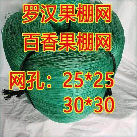 厂家瓜棚网百香果爬藤网罗汉果专用棚网种植瓜棚网瓜网爬藤搭架网