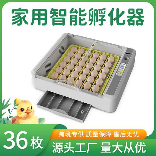 跨境HHD36枚鸡鸭鹅鸟类家用小型全自动智能孵化出雏一体孵蛋器