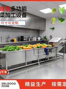杰尔古格青菜净菜加工设备菠菜去泥清洗机械全自动蔬菜洗菜机