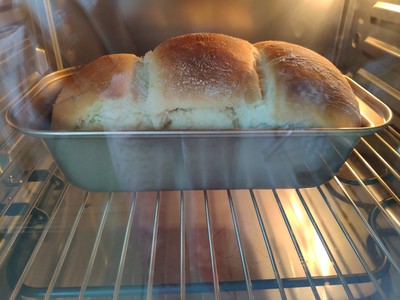 海氏T35蒸烤箱怎么样？体验一个月告诉大家个坏消息