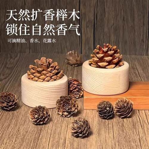 Pine cone and larch dried flower living room decoration, sho