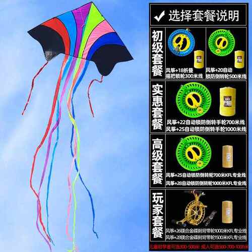 网红飞天风筝大人专用大型高档儿童微风易飞超特大巨型成人2020版