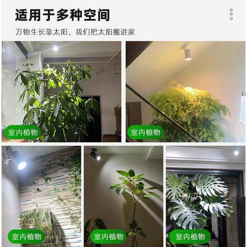 全光谱植物生长灯模拟太阳光室内造景绿植花卉景观明装植物补光灯
