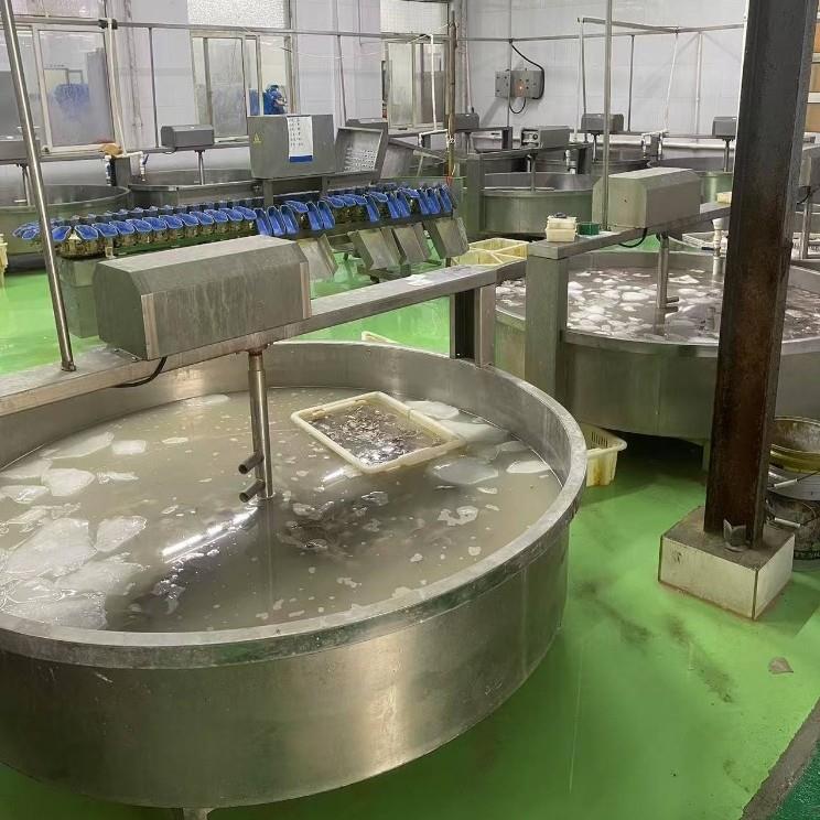 鱿鱼腌制设备 沙丁鱼搅拌槽 气泡清洗机 304不锈钢 海产品加工