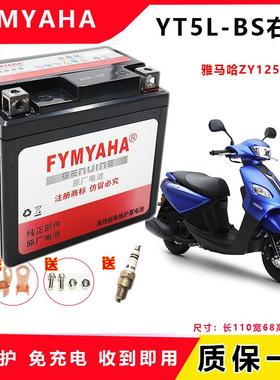 适用于山叶巡鹰125胖头鱼踏板机车配套电池MTX5L-BS干电瓶