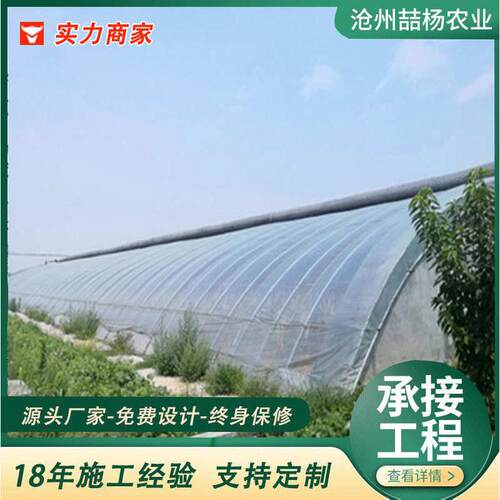 智能温室大棚 农业种植养殖大棚 日光农业温室大棚 薄膜大棚骨架
