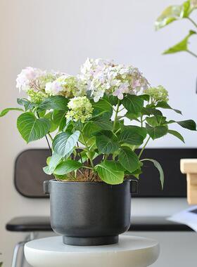 北欧陶瓷花盆黑色发泡釉无孔水培盆栽绿植套盆大口径陶盆手工盆景
