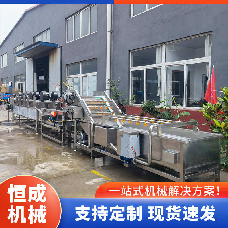 果喷淋果蔬 农作物红枣圣女机海带气泡设备果 高压清洗机清洗洗式