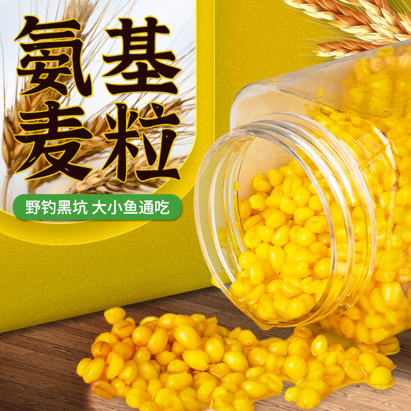 小麦钓鱼麦粒鲤鱼鲢鳙鲫鱼路亚饵