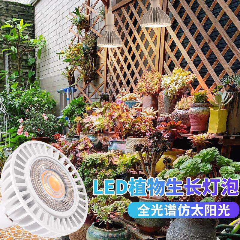 植物生长灯仿太阳全光谱灯泡爆藻家用上色室内日照多肉补光灯