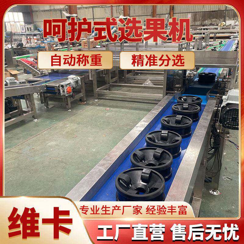 丰水梨选果机秋月梨分选机水蜜桃分级机蟠桃称重分级机