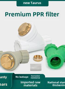 新Dollar Cow 4分钟20分钟25分钟1.3英寸2大体加厚Ppr Y过滤水管