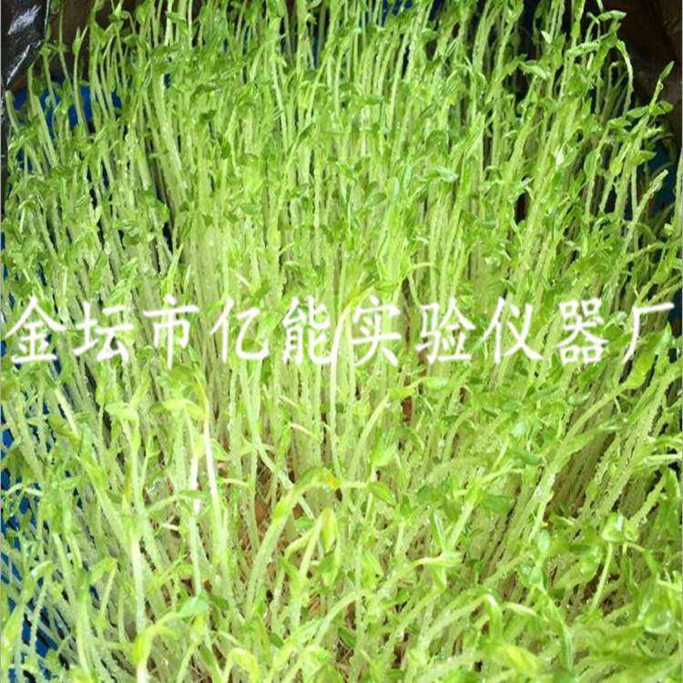 厂家直销种子催芽箱芽苗菜发芽箱全智能微电脑种子催芽箱
