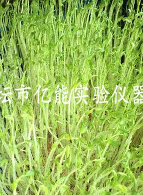 厂家直销种子催芽箱芽苗菜发芽箱全智能微电脑种子催芽箱