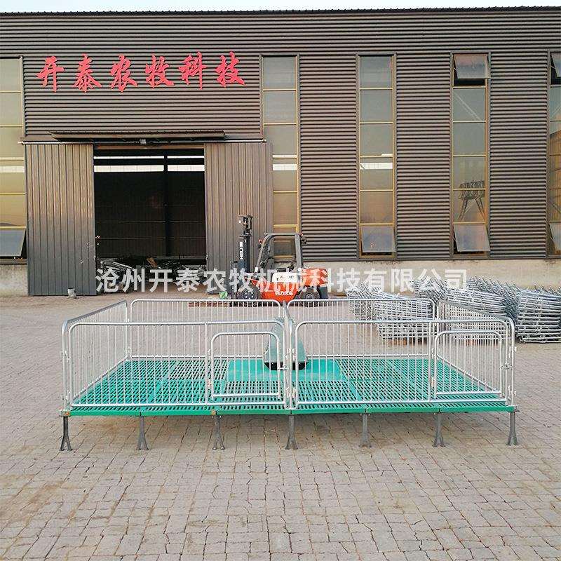 养殖场仔猪保育床加厚镀锌钢管复合保育床仔猪复合保育床