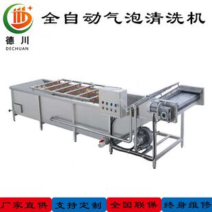 辣椒芸豆茄子全自动高压喷淋式 气泡蔬菜清洗机