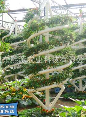 大螺旋管道栽培螺旋立柱立体种植厂家立体栽培无土栽培设备