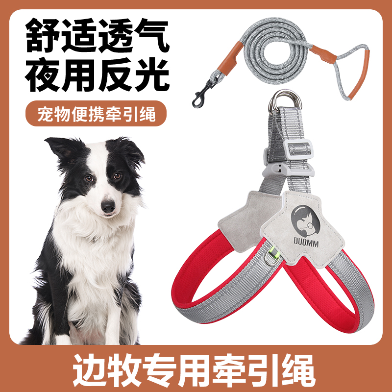 边牧专用狗狗胸背带牵引绳中小型犬脖圈背心式遛狗绳宠物项圈
