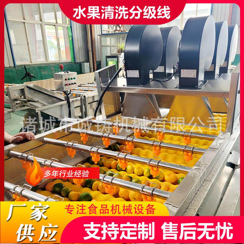 全自动柑橘清洗风干分级线赣南脐橙清洗风干选果线洗果机选果机