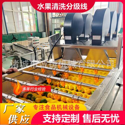 全自动柑橘清洗风干分级线赣南脐橙清洗风干选果线洗果机选果机