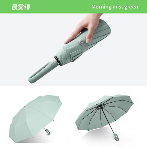闲象创意配色全自动伞10骨抗风伞简约纯色三折自开收雨伞新款现货