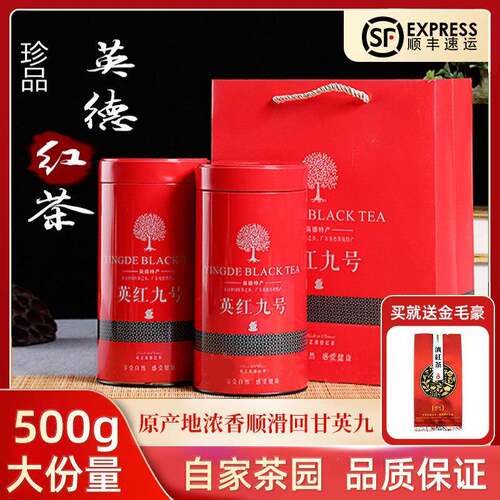 正宗广东英德英红九号红茶茶叶自己喝浓香型英德红茶经营店礼罐装