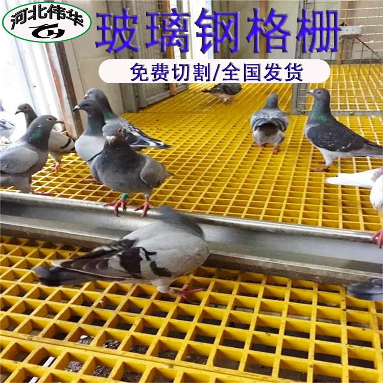 玻璃钢双层微孔格栅地沟漏水板树篦子养殖鸽舍漏粪板