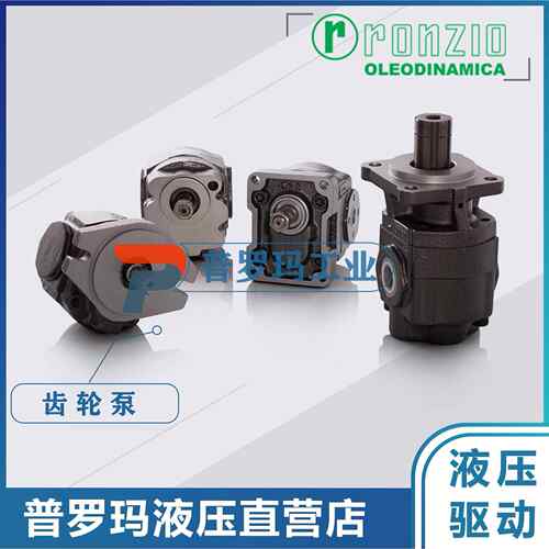 罗茨ronzio Greo pump 02ZAG06/08/11/14/17/20/25E034D ABCHFG