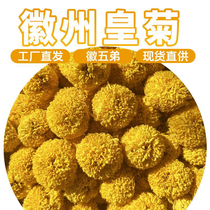 横心岭黄菊黄山花农直供徽州皇菊婺源皇菊花茶大黄小黄菊