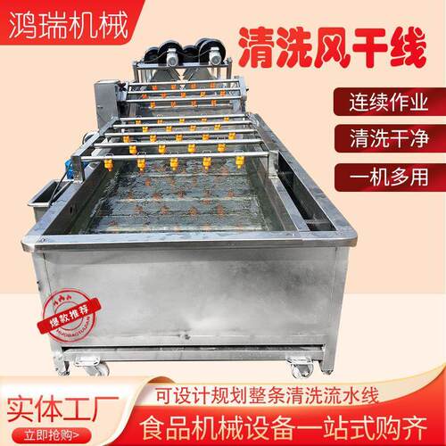 商用香菇山野菜气泡翻滚式清洗机全自动洗菜机荔枝果蔬清洗设备