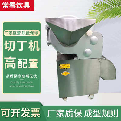 厂家直销厂家批发切丁机100大型蔬菜水果食堂酒店用切片切丝商用
