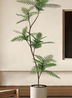 绿植蓝花楹室内客厅装饰花仿生假植物落地盆栽树其他见描述